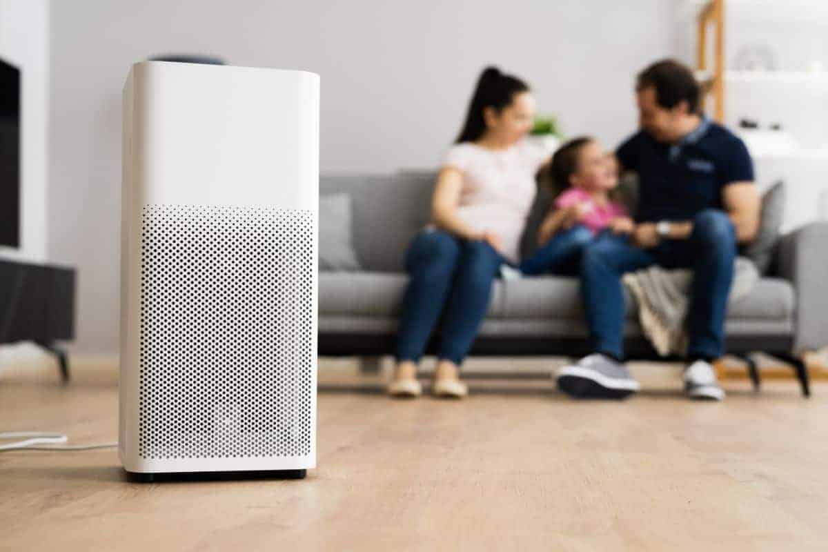 Are Air Purifiers A Waste Of Money?