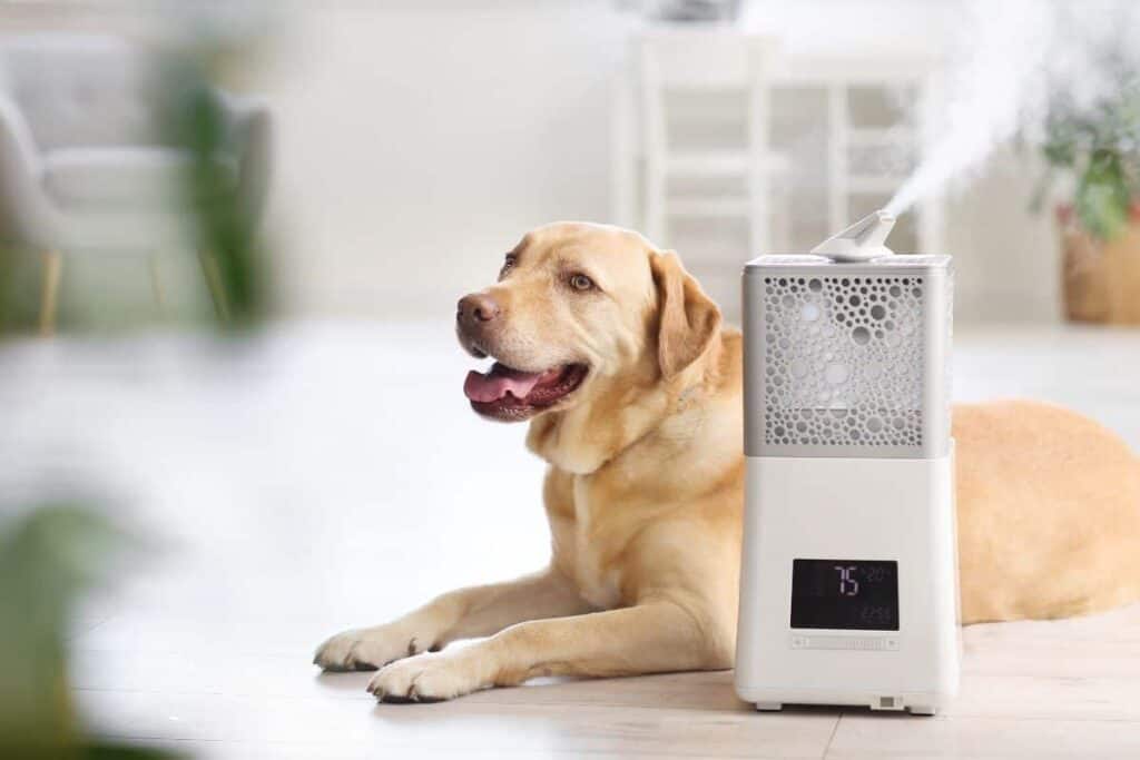 How To Clean A Homedics Humidifier Oasys Water