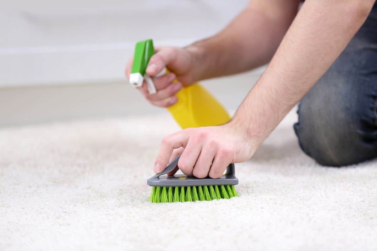 Ways You Can Get Ash Out Of Your Carpet